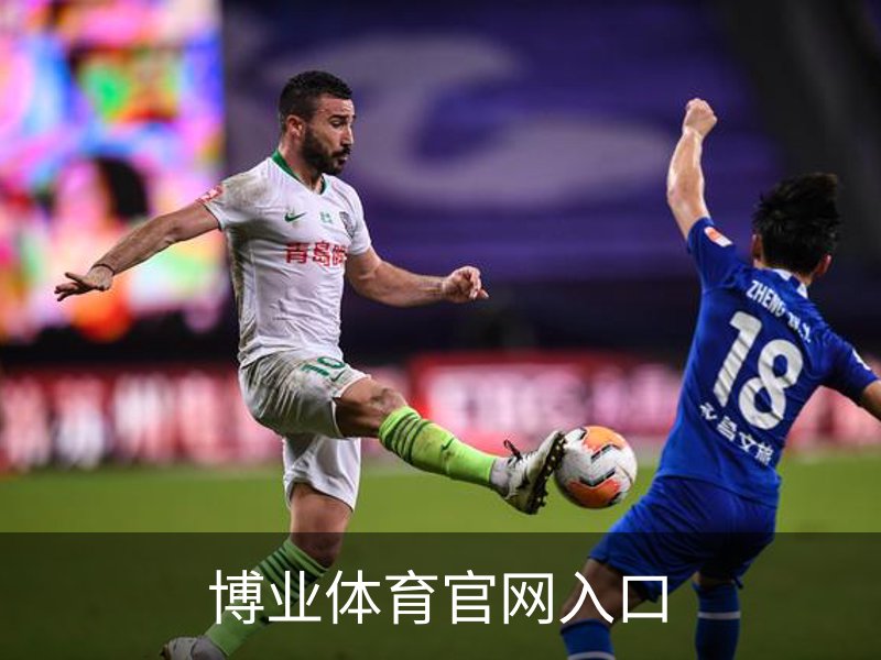 博业体育官网入口简介